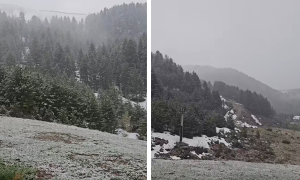 Bora zbardh Brezovicën në mes të majit